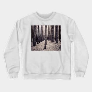 Speckled light & tall trees Crewneck Sweatshirt